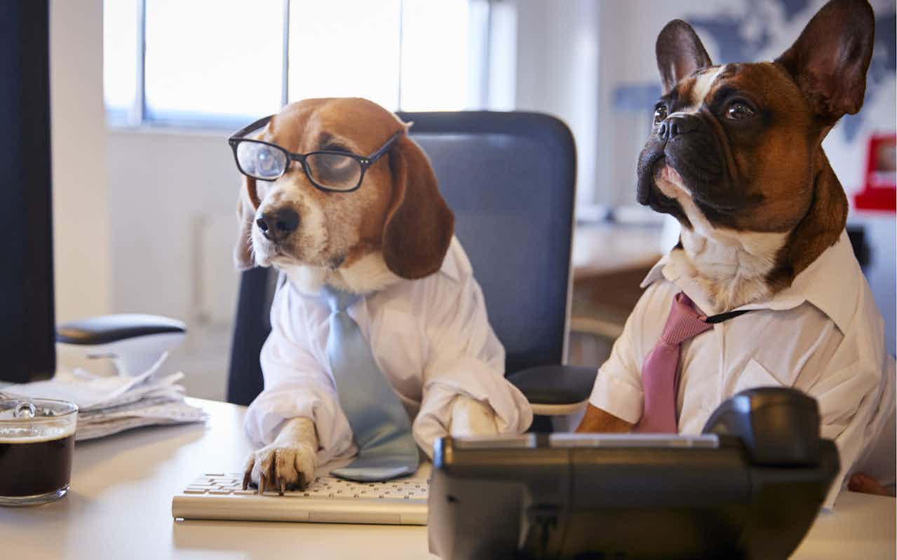 AMJ Creations - Custom quilt & craft shop in Fort St John